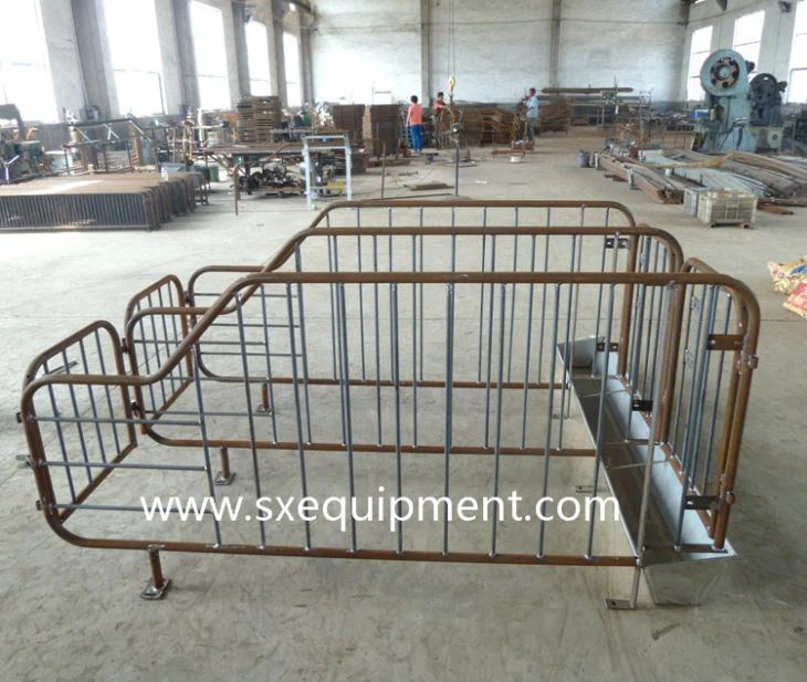 Pig Gestation Stall